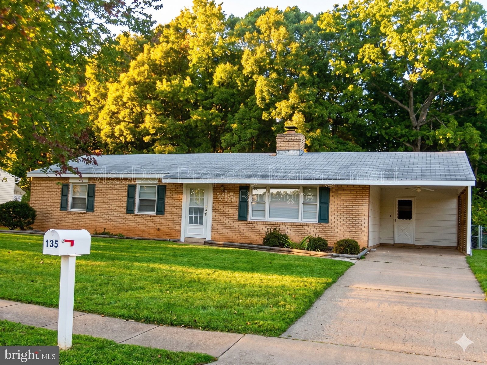 135 Winewood Drive Locust Grove, VA 22508 property image