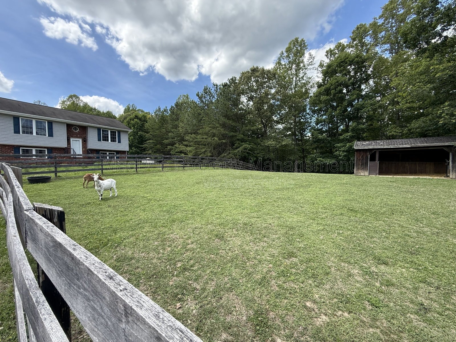 17493 American Way Woodford, VA 22580 property image