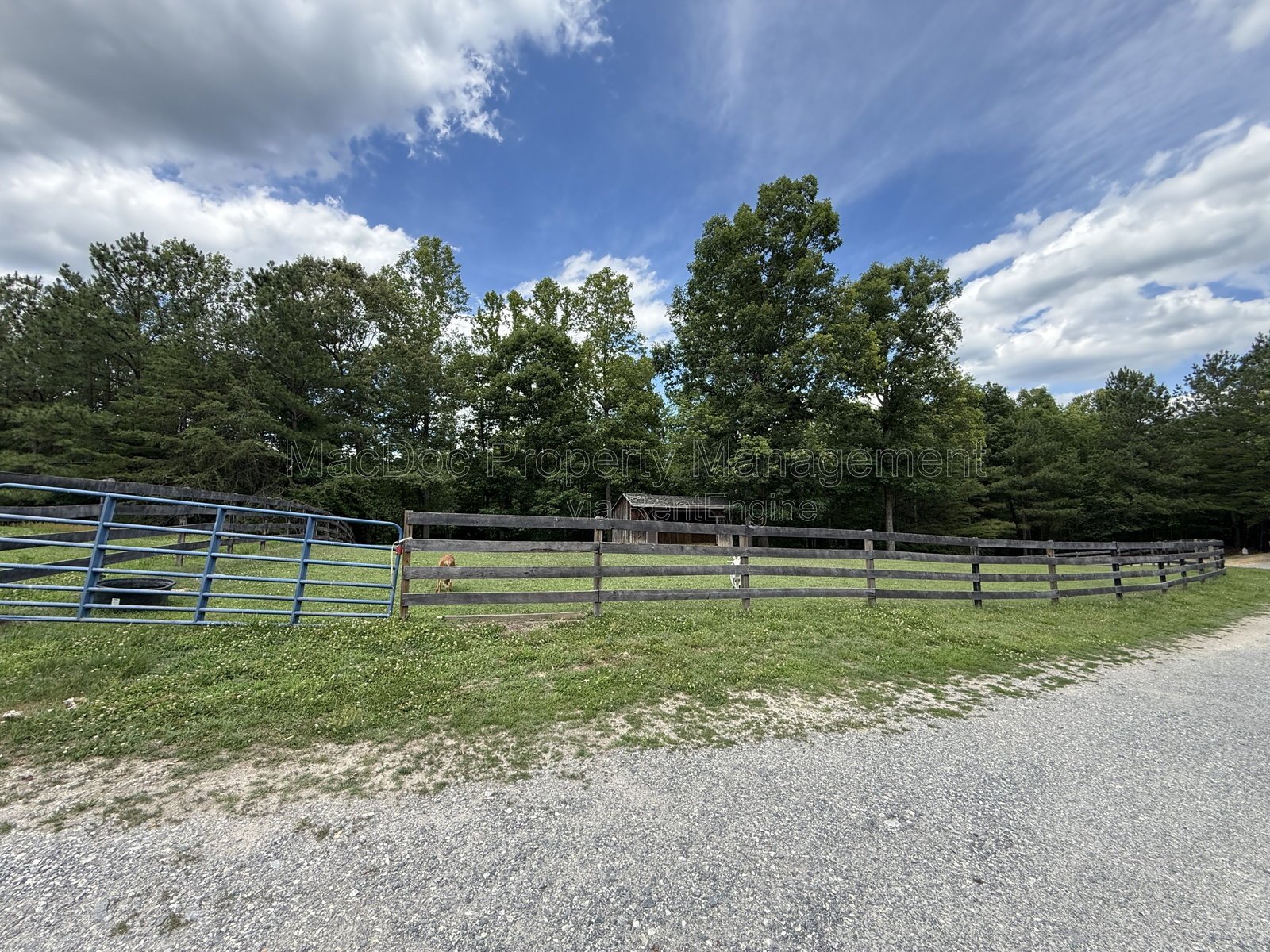 17493 American Way Woodford, VA 22580 property image