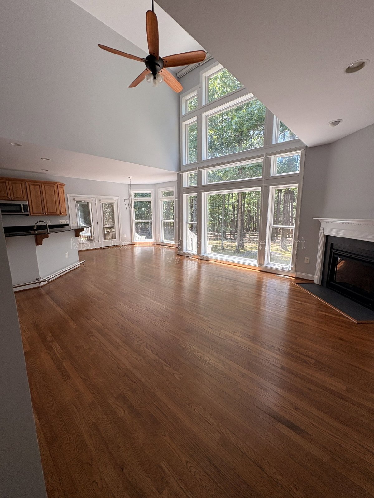 10802 Cedar Creek Drive Spotsylvania Courthouse, VA 22551 property image