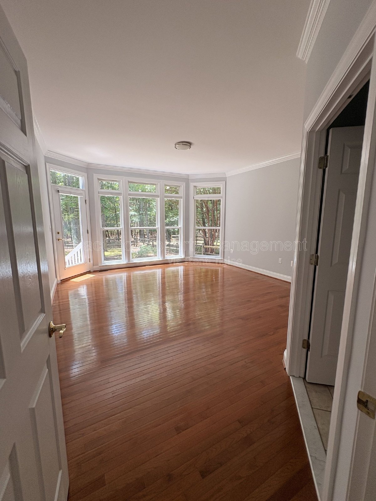 10802 Cedar Creek Drive Spotsylvania Courthouse, VA 22551 property image