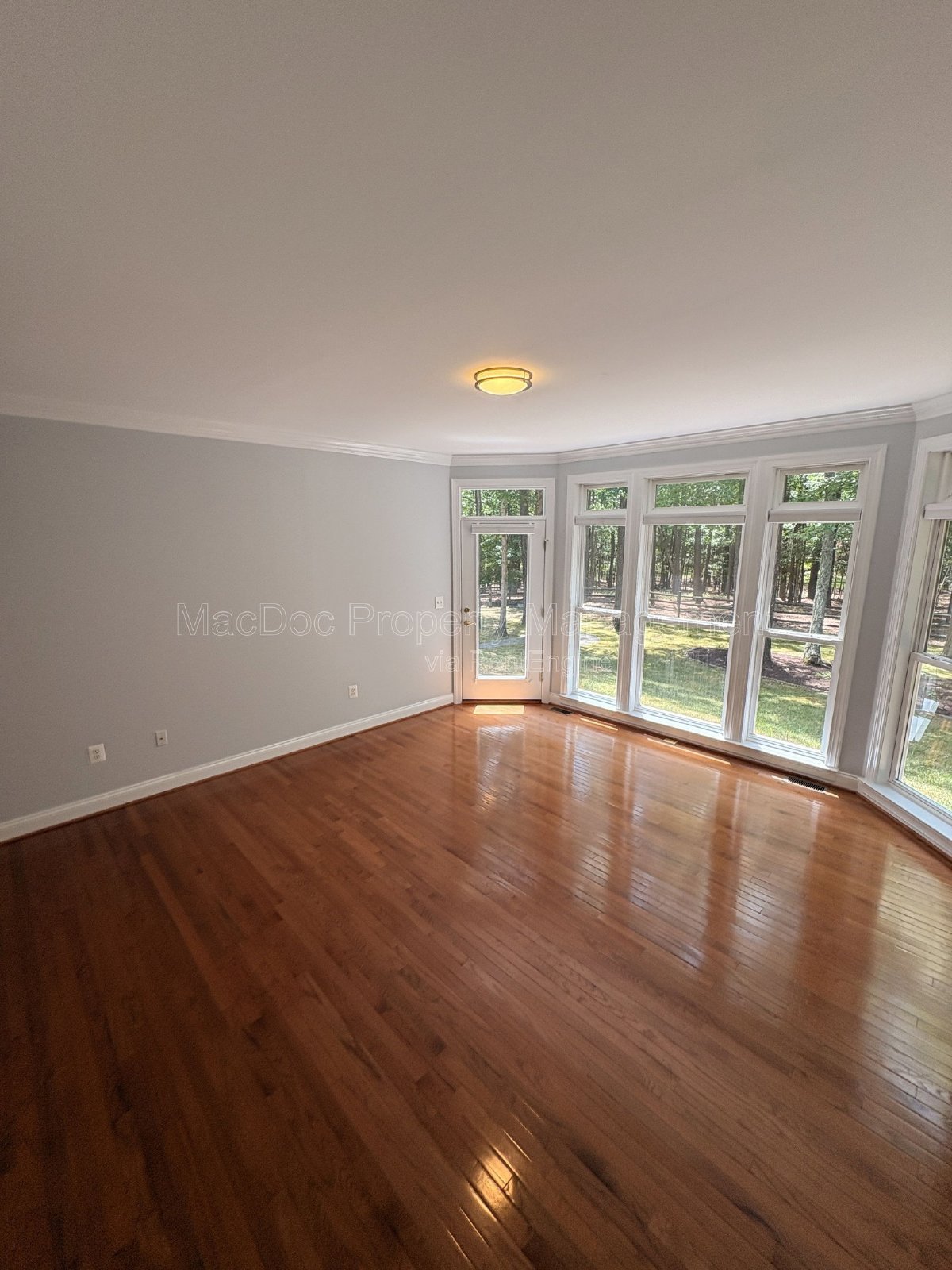 10802 Cedar Creek Drive Spotsylvania Courthouse, VA 22551 property image