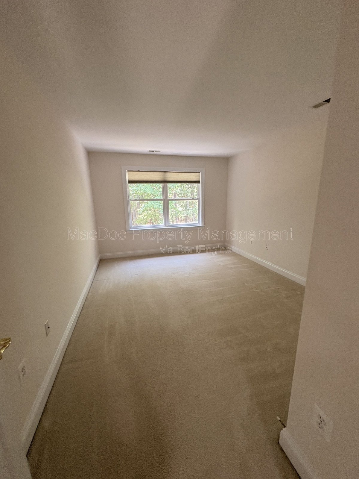 10802 Cedar Creek Drive Spotsylvania Courthouse, VA 22551 property image