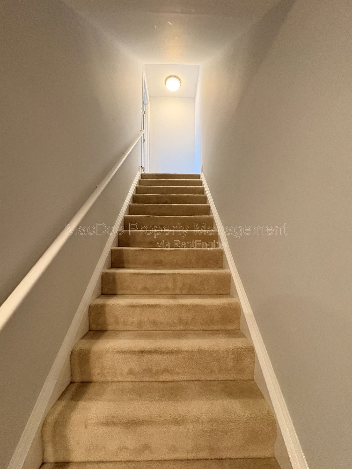 10802 Cedar Creek Drive Spotsylvania Courthouse, VA 22551 property image
