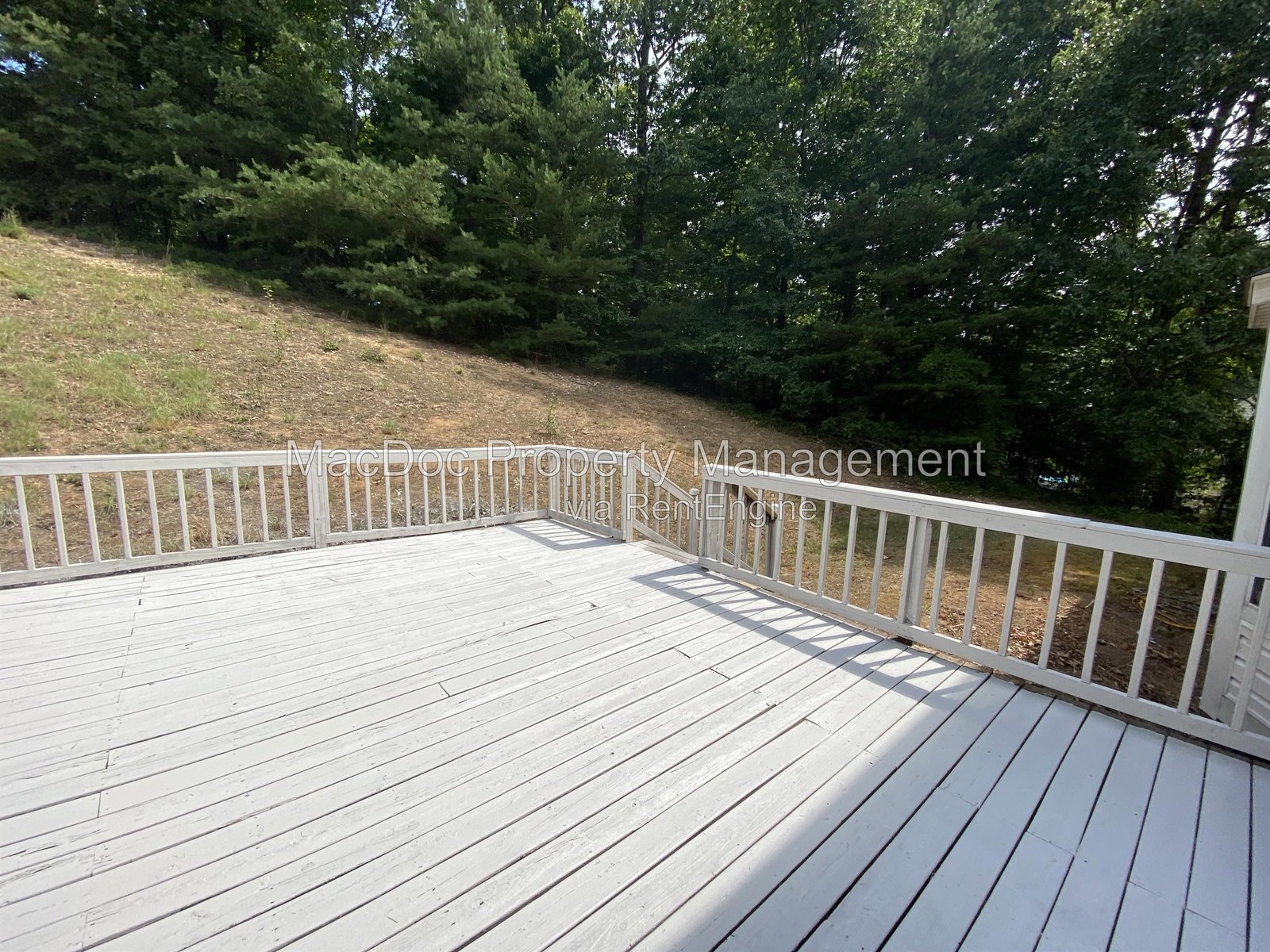 11304 Springfield Drive Fredericksburg, VA 22408 property image