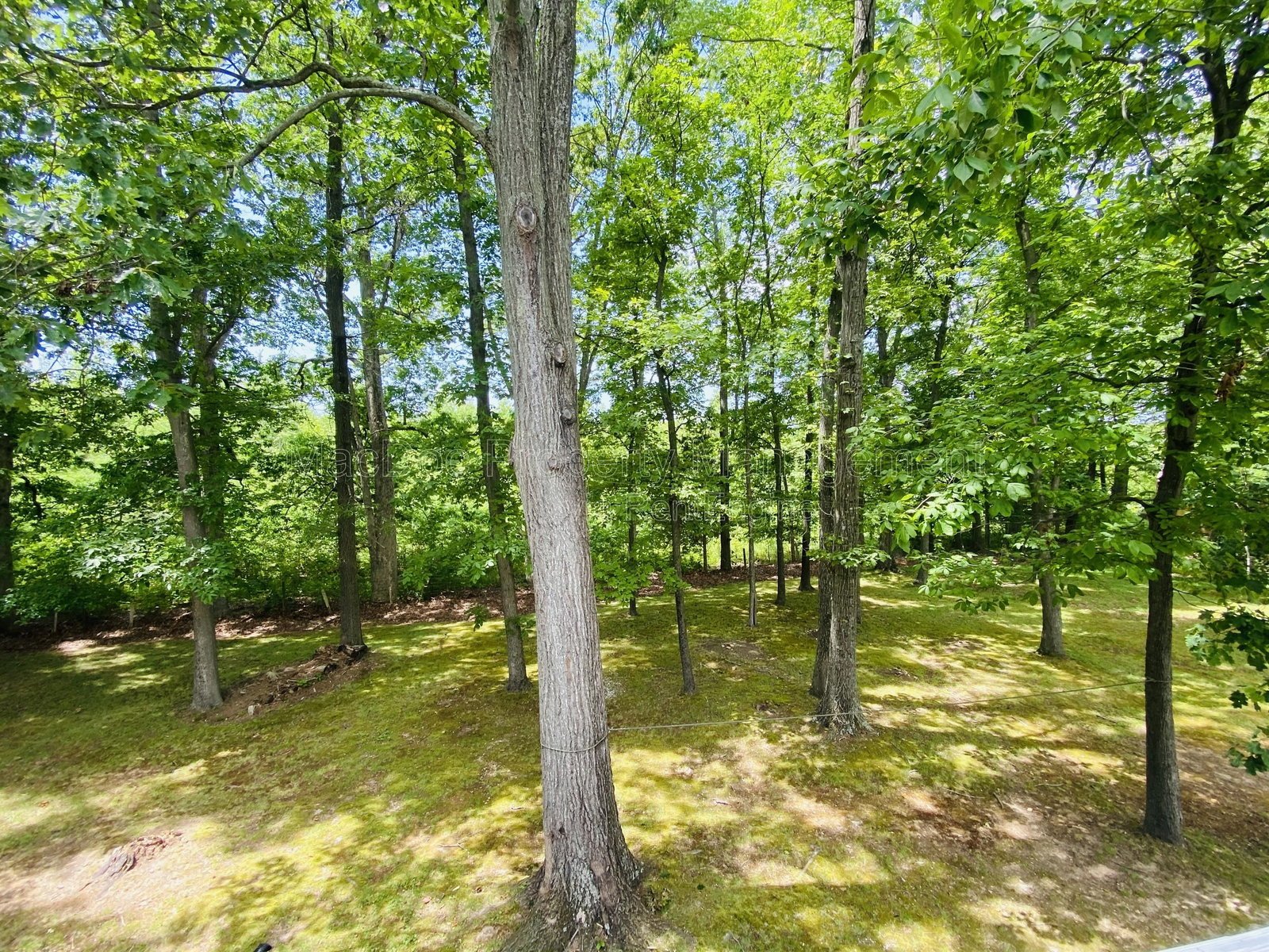 12202 McClain Street Fredericksburg, VA 22407 property image