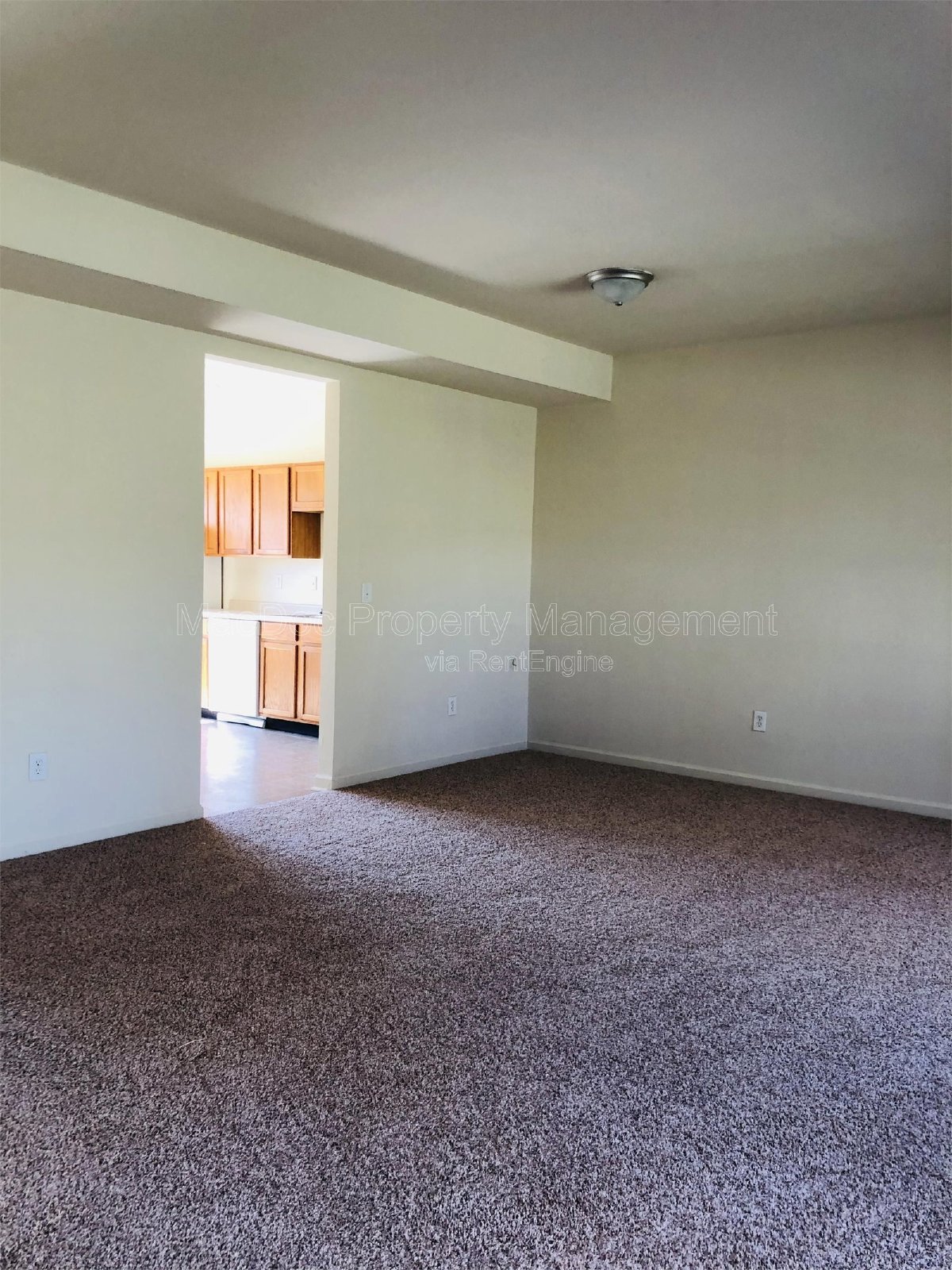11009 Bevin Drive Fredricksburg, VA 22408 property image