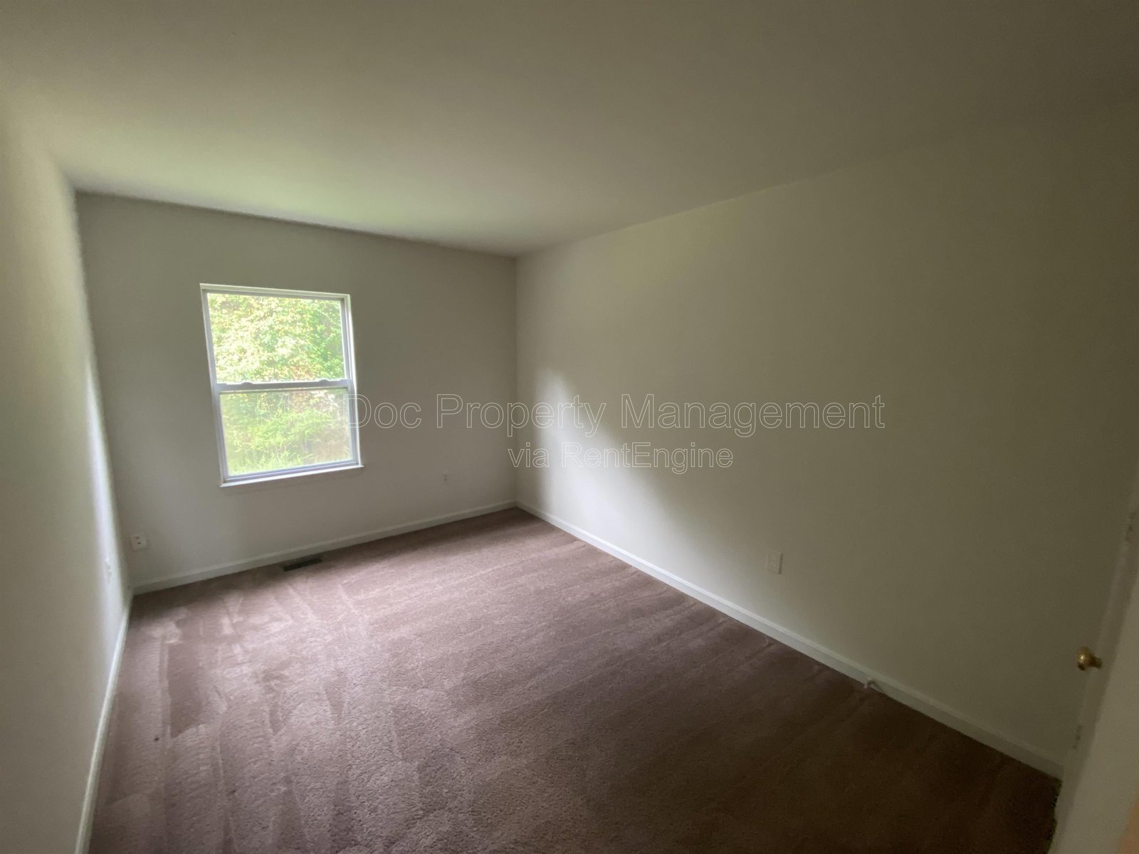 10910 Coreys Way Fredericksburg, VA 22408 property image