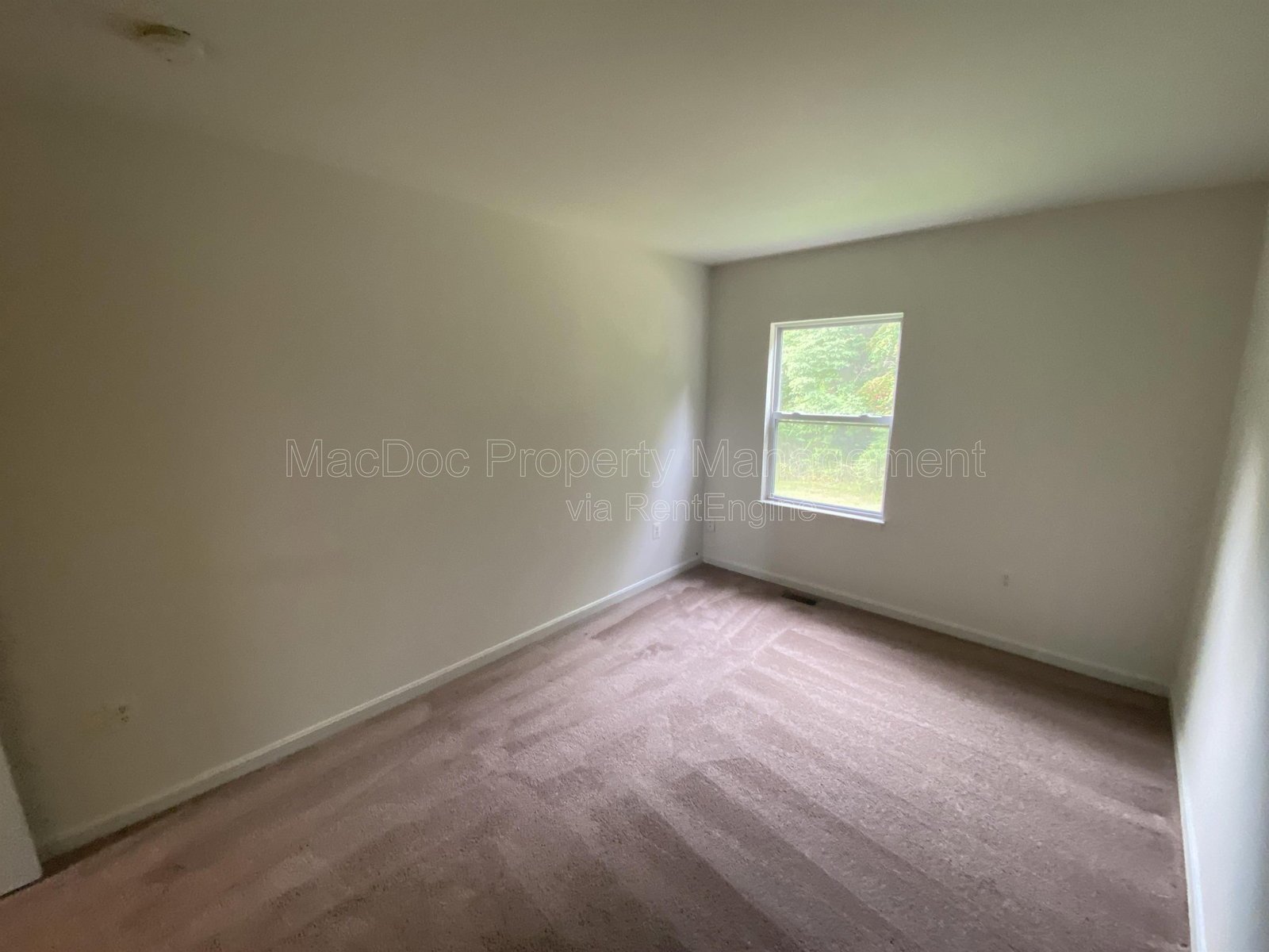 10910 Coreys Way Fredericksburg, VA 22408 property image