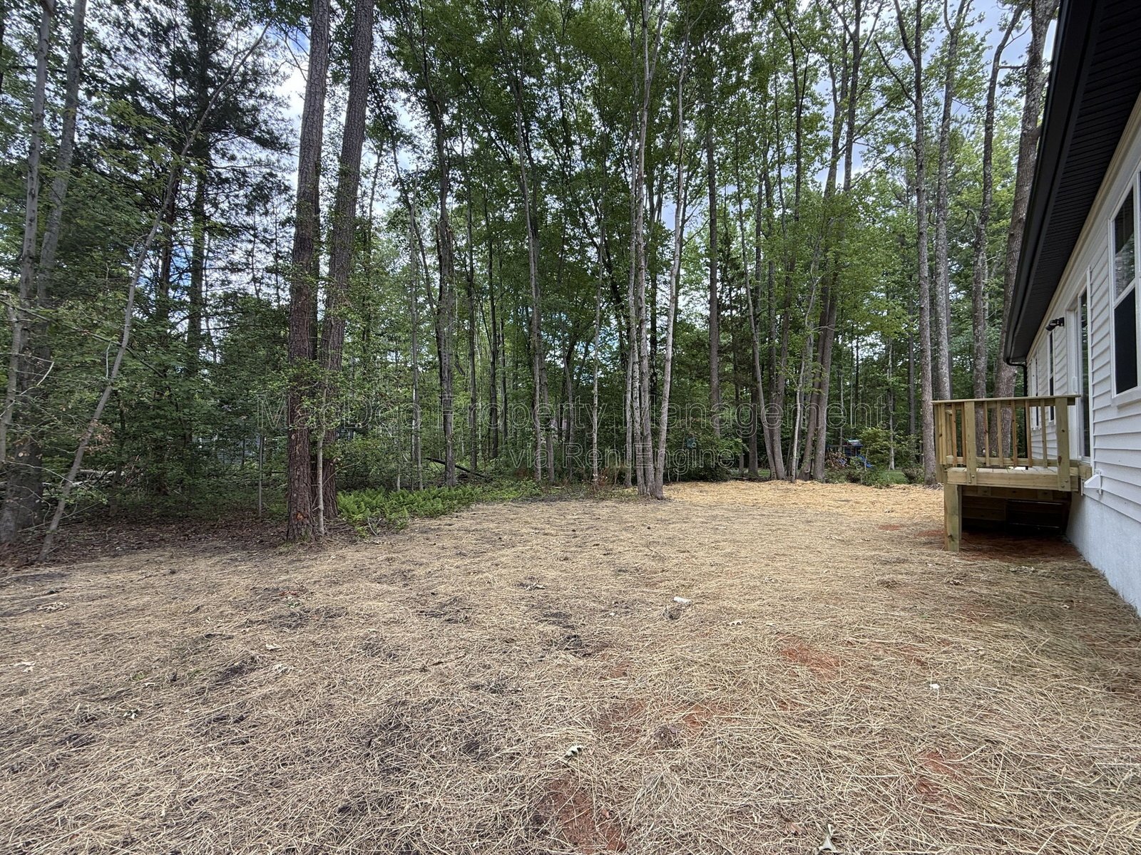 47 Birch Lane Colonial Beach, VA 22443 property image