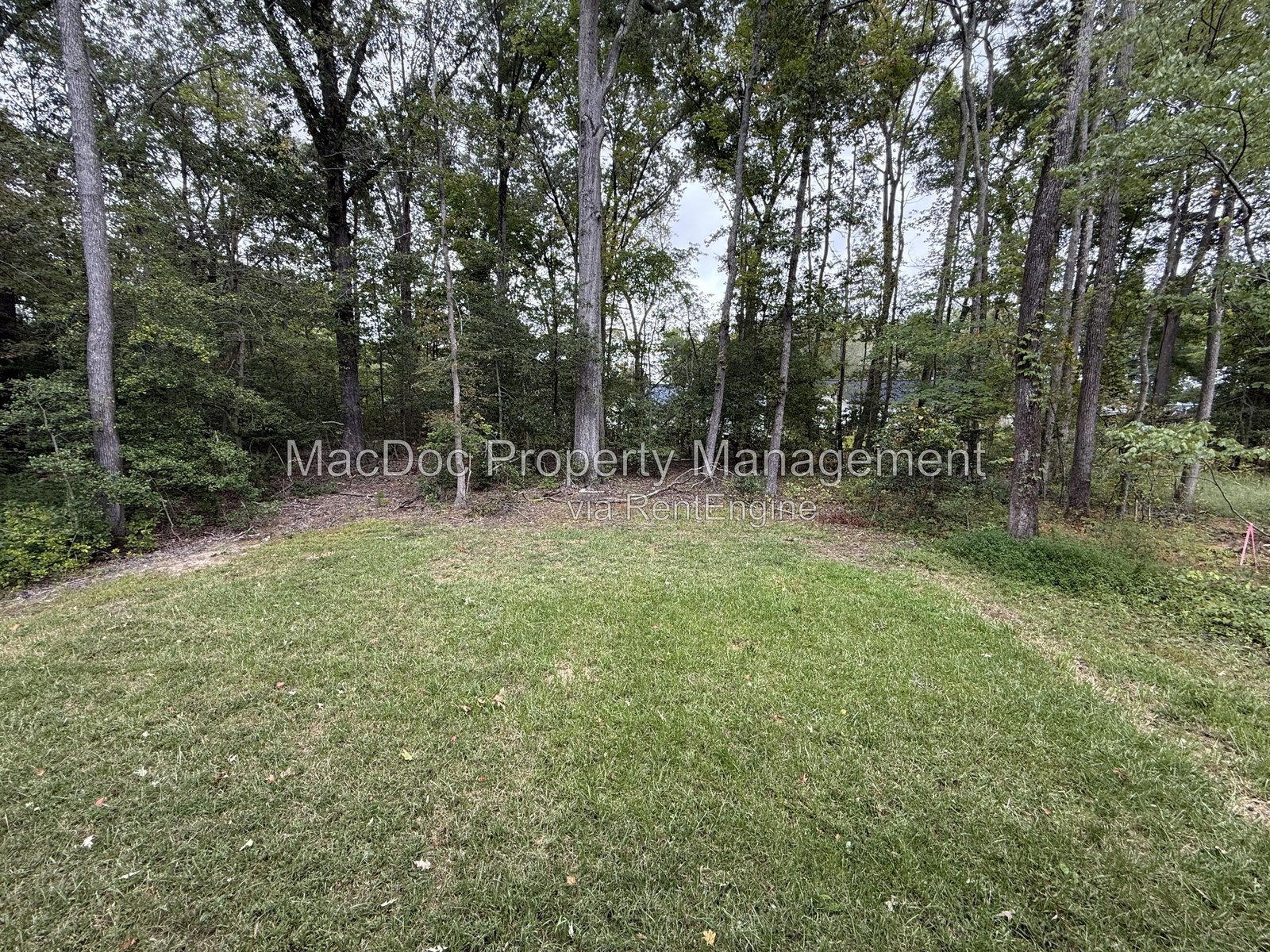 170 Forest Grove Road Colonial Beach, VA 22443 property image