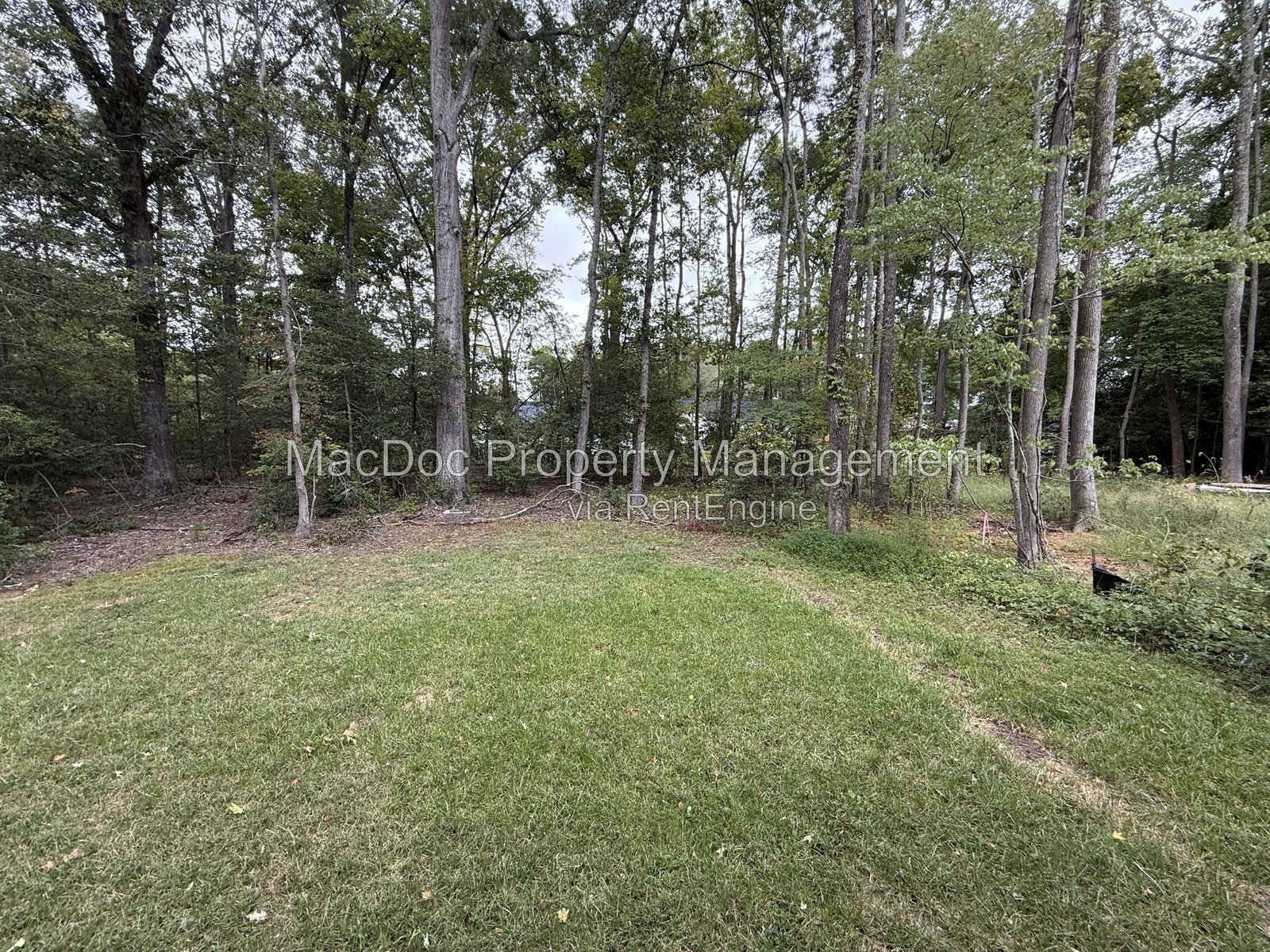 170 Forest Grove Road Colonial Beach, VA 22443 property image
